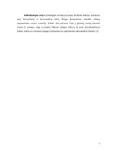 Užsienio rinkų užvaldymas 7 puslapis