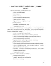 Užsienio rinkų užvaldymas 8 puslapis