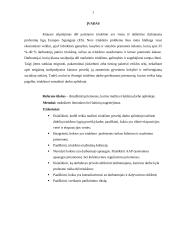 Triukšmo keliamo darbo vietoje mažinimas 3 puslapis