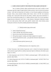 Triukšmo keliamo darbo vietoje mažinimas 4 puslapis