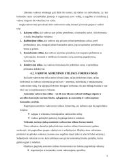 Vadovavimo stiliai ir aspektai 5 puslapis