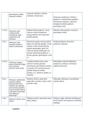Mikalojus Radvila Rudasis istorijoje ir literatūroje - pamokos planas 2 puslapis