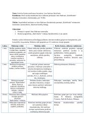 Mikalojus Radvila Rudasis istorijoje ir literatūroje - pamokos planas 3 puslapis