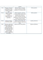 Mikalojus Radvila Rudasis istorijoje ir literatūroje - pamokos planas 5 puslapis