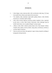 Vaikų, netekusių tėvų globos, socializacijos ypatumai 9 puslapis