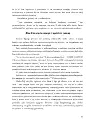 Vandens transporto logistika 15 puslapis