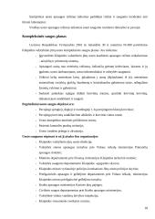 Vandens transporto logistika 17 puslapis