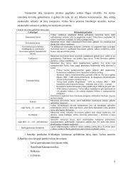 Vandens transporto logistika 5 puslapis