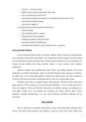 Vandens transporto logistika 6 puslapis