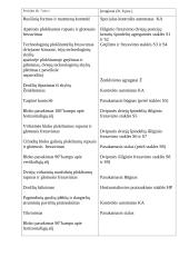 Variklio bloko gamyba 11 puslapis