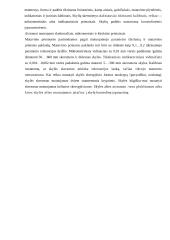 Variklio bloko gamyba 13 puslapis