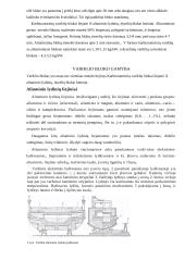 Variklio bloko gamyba 4 puslapis