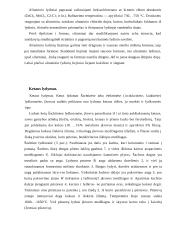 Variklio bloko gamyba 5 puslapis