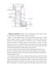 Variklio bloko gamyba 6 puslapis