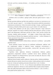 Variklio bloko gamyba 7 puslapis