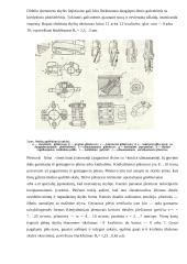 Variklio bloko gamyba 8 puslapis