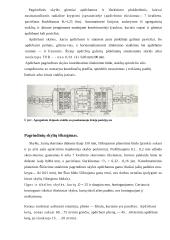 Variklio bloko gamyba 9 puslapis