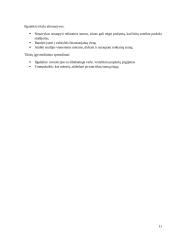 Namų ūkio biudžeto skaičiavimas 9 puslapis