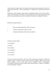 Namų ūkio biudžeto skaičiavimas 11 puslapis