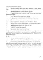 Namų ūkio biudžeto skaičiavimas 13 puslapis