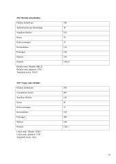 Namų ūkio biudžeto skaičiavimas 20 puslapis