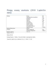 Namų ūkio biudžeto skaičiavimas 4 puslapis