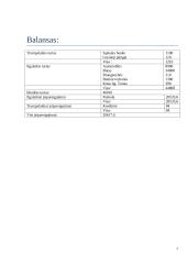 Namų ūkio biudžeto skaičiavimas 5 puslapis