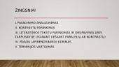 Literatūrinis rašinys 10 klasėje 3 puslapis