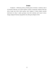 Varliagyviai ir amfibijos 13 puslapis