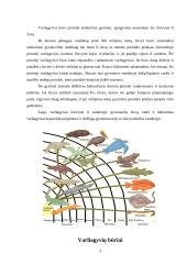 Varliagyviai ir amfibijos 3 puslapis