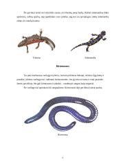 Varliagyviai ir amfibijos 5 puslapis