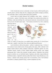 Varliagyviai ir amfibijos 6 puslapis
