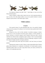 Varliagyviai ir amfibijos 7 puslapis
