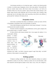 Varliagyviai ir amfibijos 9 puslapis