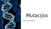 Mutacijos ir jų tipai