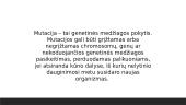 Mutacijos ir jų tipai 2 puslapis
