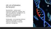 Mutacijos ir jų tipai 3 puslapis