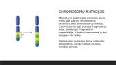 Mutacijos ir jų tipai 4 puslapis