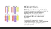 Mutacijos ir jų tipai 6 puslapis