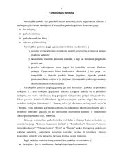 Vartotojiškoji paskola 4 puslapis
