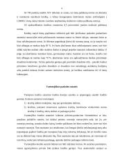 Vartotojiškoji paskola 8 puslapis
