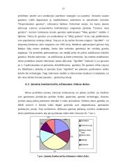 Verslo analizė: UAB "Biovela" 12 puslapis