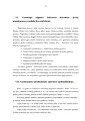 Verslo analizė: UAB "Biovela" 15 puslapis