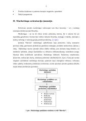 Verslo analizė: UAB "Biovela" 4 puslapis