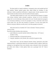 Verslo draudimas: AB "Lietuvos draudimas" 2 puslapis