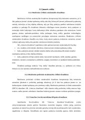 Verslo draudimas: AB "Lietuvos draudimas" 15 puslapis