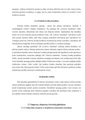 Verslo draudimas: AB "Lietuvos draudimas" 16 puslapis