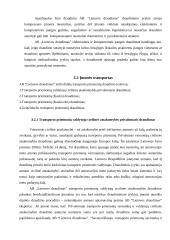 Verslo draudimas: AB "Lietuvos draudimas" 10 puslapis