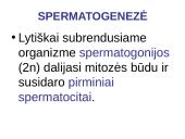 Spermatogenezė ir oogenezė 16 puslapis
