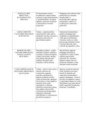 Vaiko gerovę užtikrinančių dokumentų analizė ir nauda ikimokyklinio ugdymo pedagogui 3 puslapis